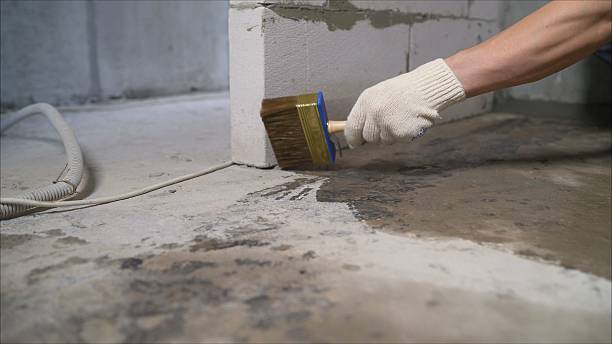 SJ Waterproofing Pros Waterproofing coverage map for Citronelle, AL and surrounding area